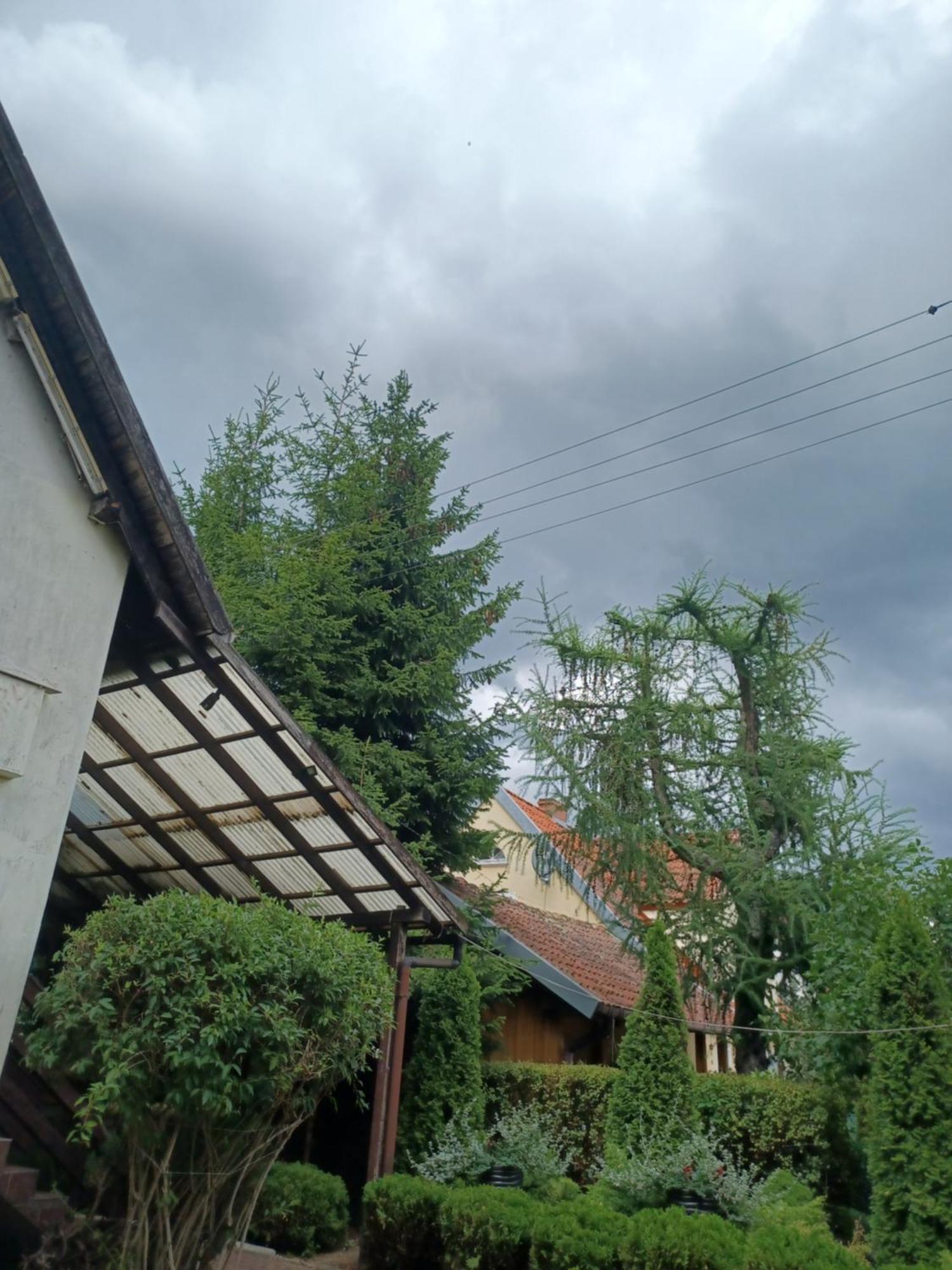 Apartamenty, Pokoje, Noclegi Pracownicze " Skarpa" Wilkasy Buitenkant foto
